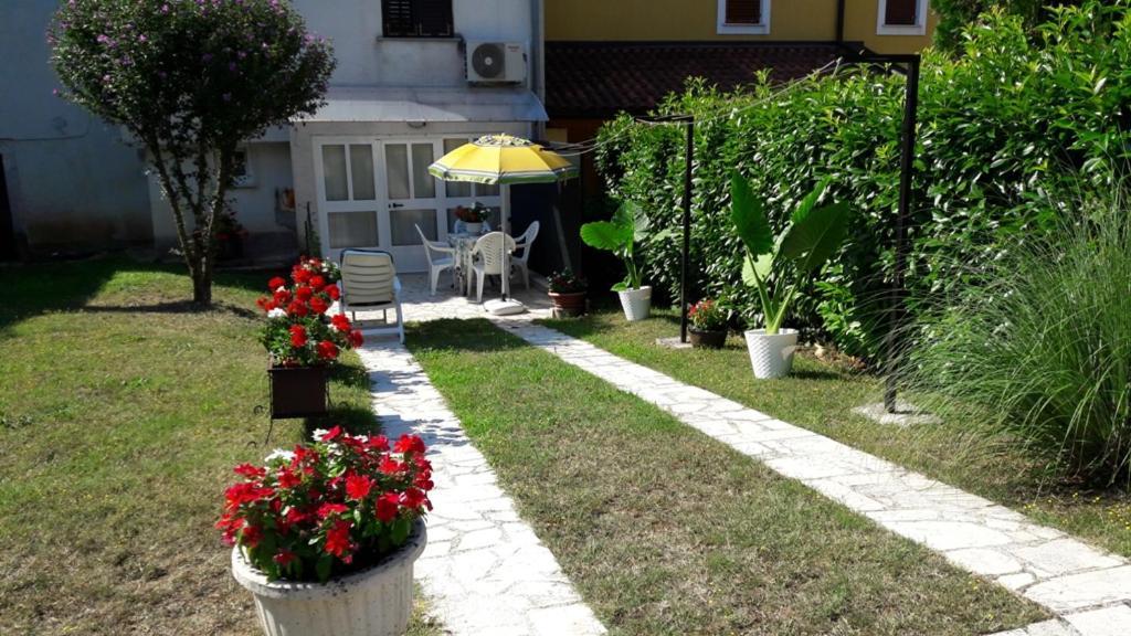Apartment Nena- Apartman Sa Posebnim Ulazom U Prizemlju, Terasom I Zelenom Okucnicom Rakotule Eksteriør bilde